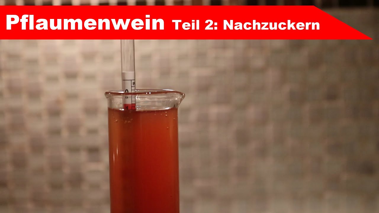 🍷 Pflaumenwein selber machen 🍷 Teil 2: messen und nachzuckern - Fermentastisch
