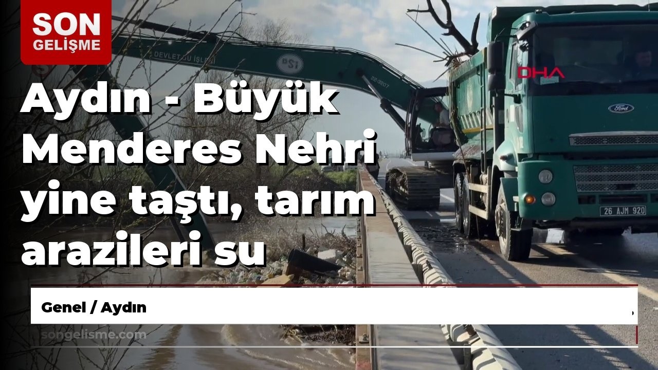 Aydın - Büyük Menderes Nehri yine taştı, tarım arazileri su altında kaldı