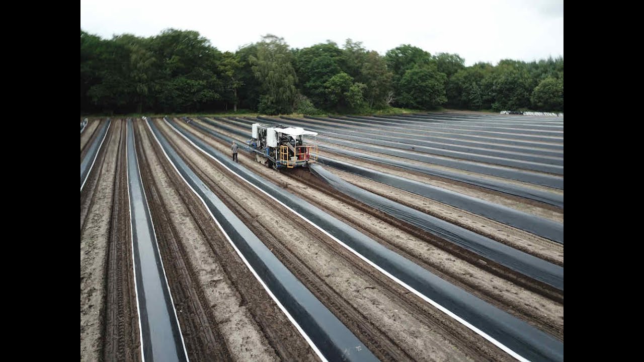 Cerescon Sparter 1 row self propelling season 2020