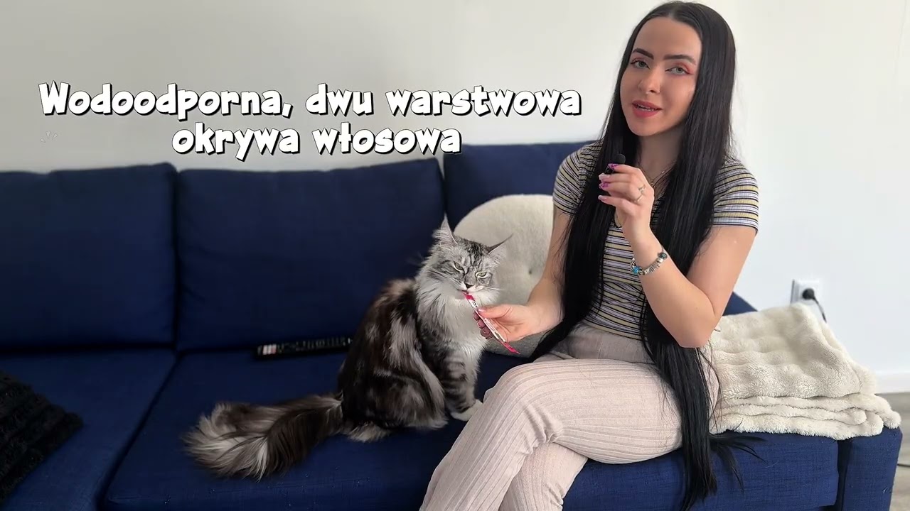 Dlaczego warto mieć Maine Coona? Historia, specyfika i ciekawostki o rasie + moja opinia❤️