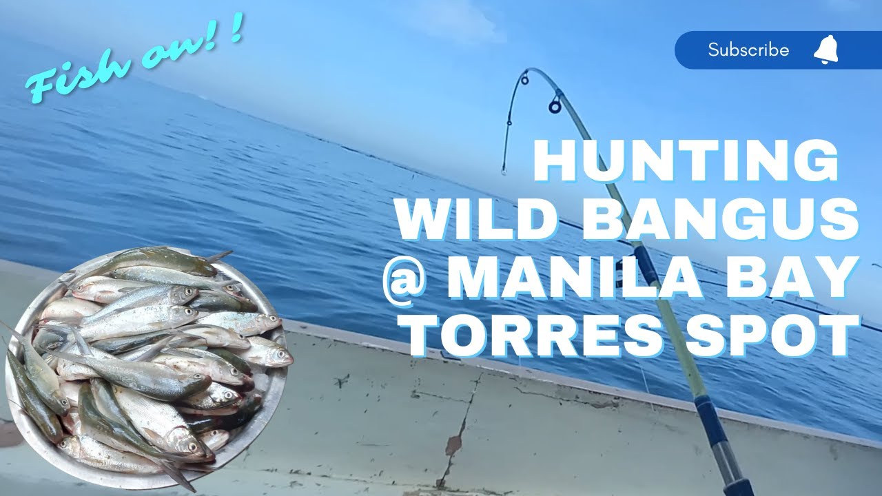 Vlog #3 - Hunting Wild Bangus @ Manila Bay Torres Spot
