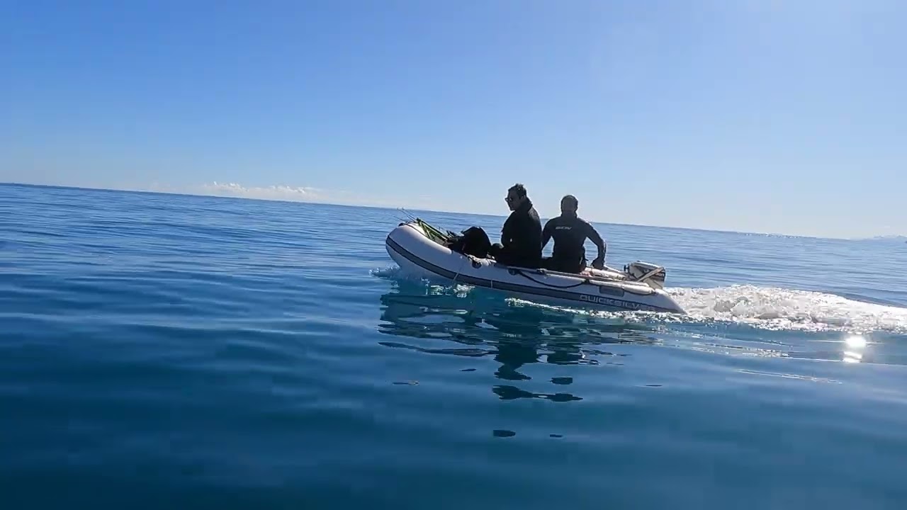 travel and fishing.  Spear gun fishing. Team