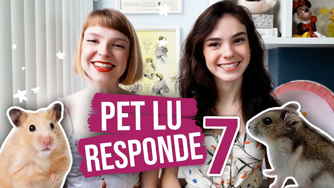 Perguntas sobre hamsters e camundongos topolinos | Pet Lu responde 7