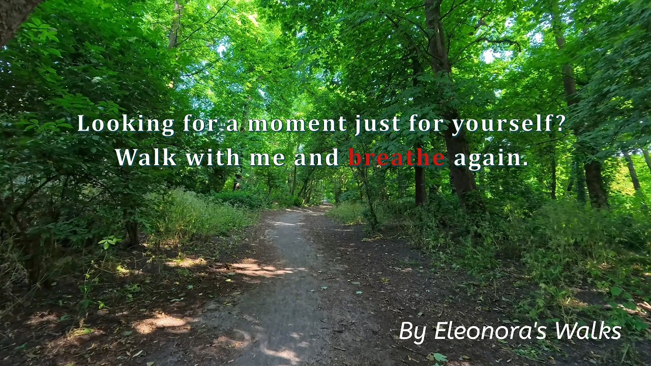 City Nature Walk in Scheveningen: Green Views & Urban Sounds HD | #eleonoraswalks