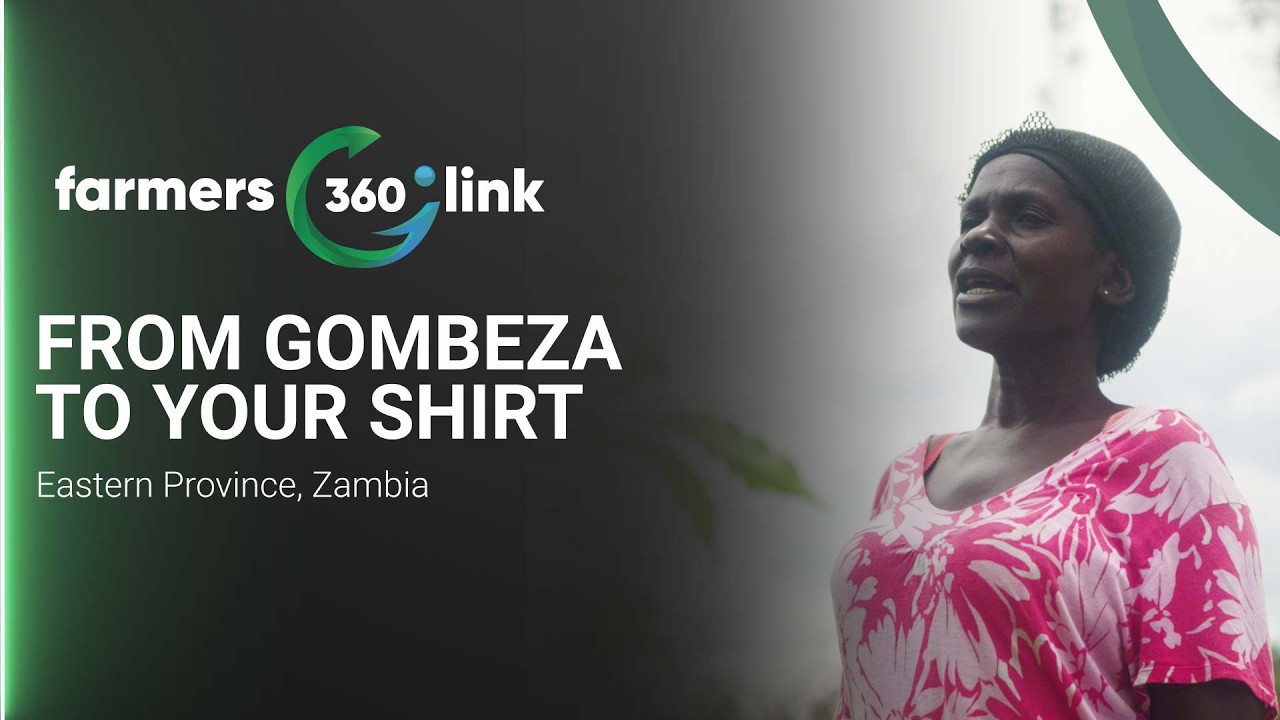 From Gombeza to Your Shirt: Josephine’s Cotton Story