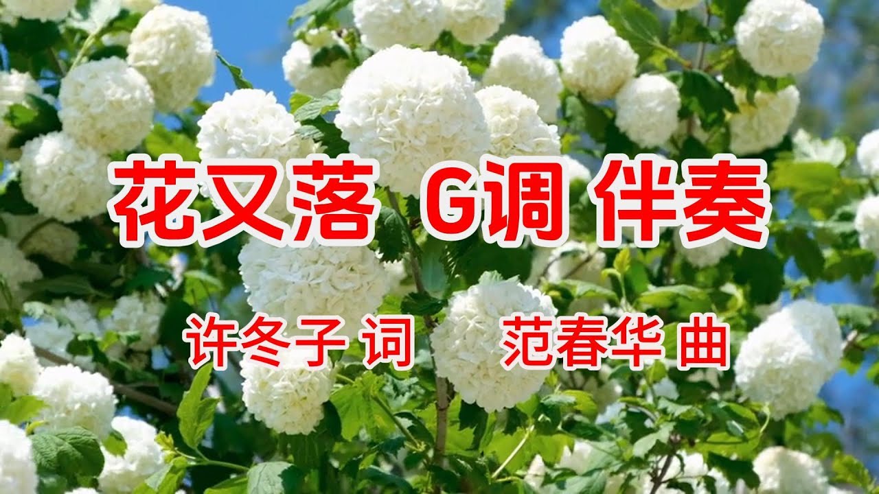《花又落》 G调 伴奏 | 看看这个伴奏视频，是否可以直接用作正式演出时的舞台背景墙？反正我是朝这个方向努力了的，虽然无法做到十全十美。