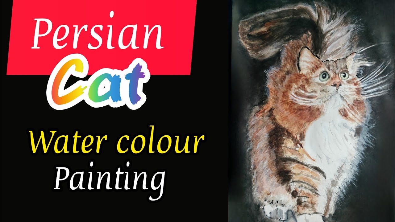 Persian cat water colour painting gk 3