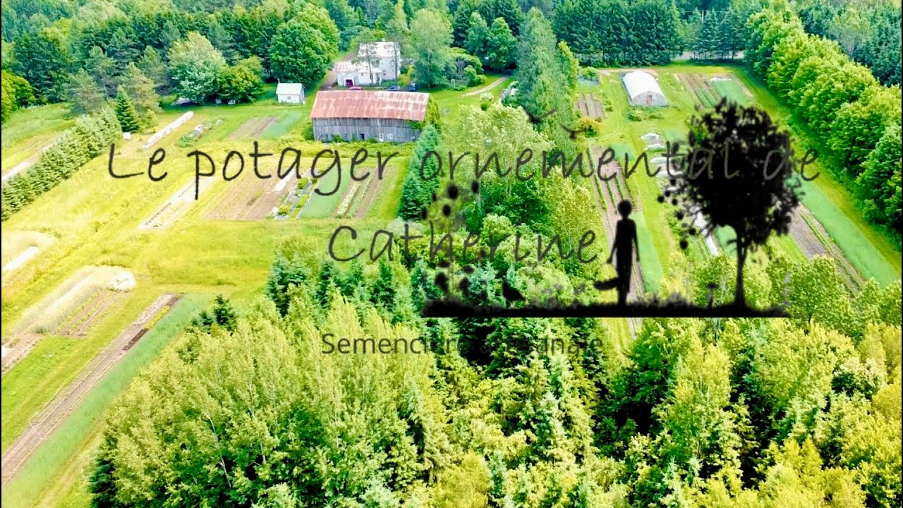 Je visite le Potager Ornemental de Catherine, artisan semencier au Québec