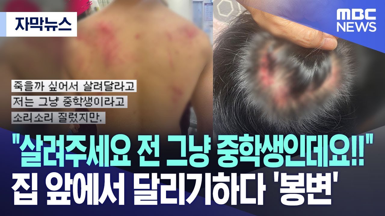 [자막뉴스] 
