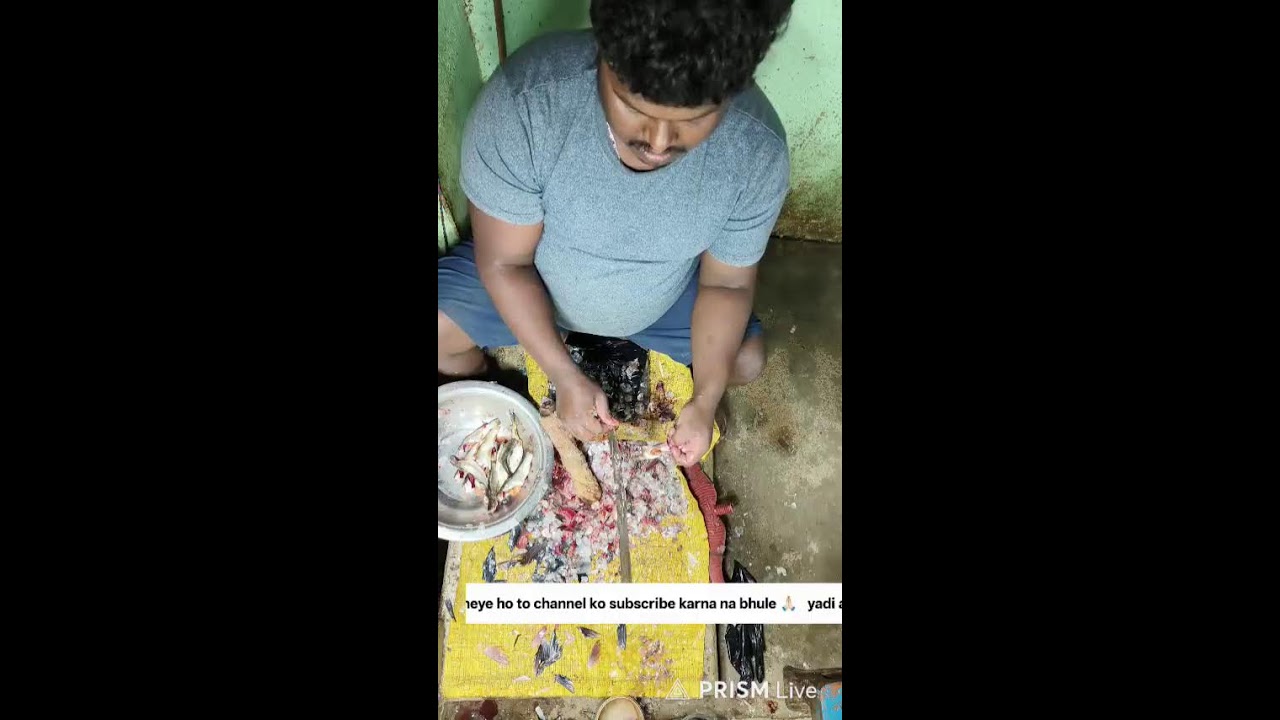 Live streaming of kunu fish cutting