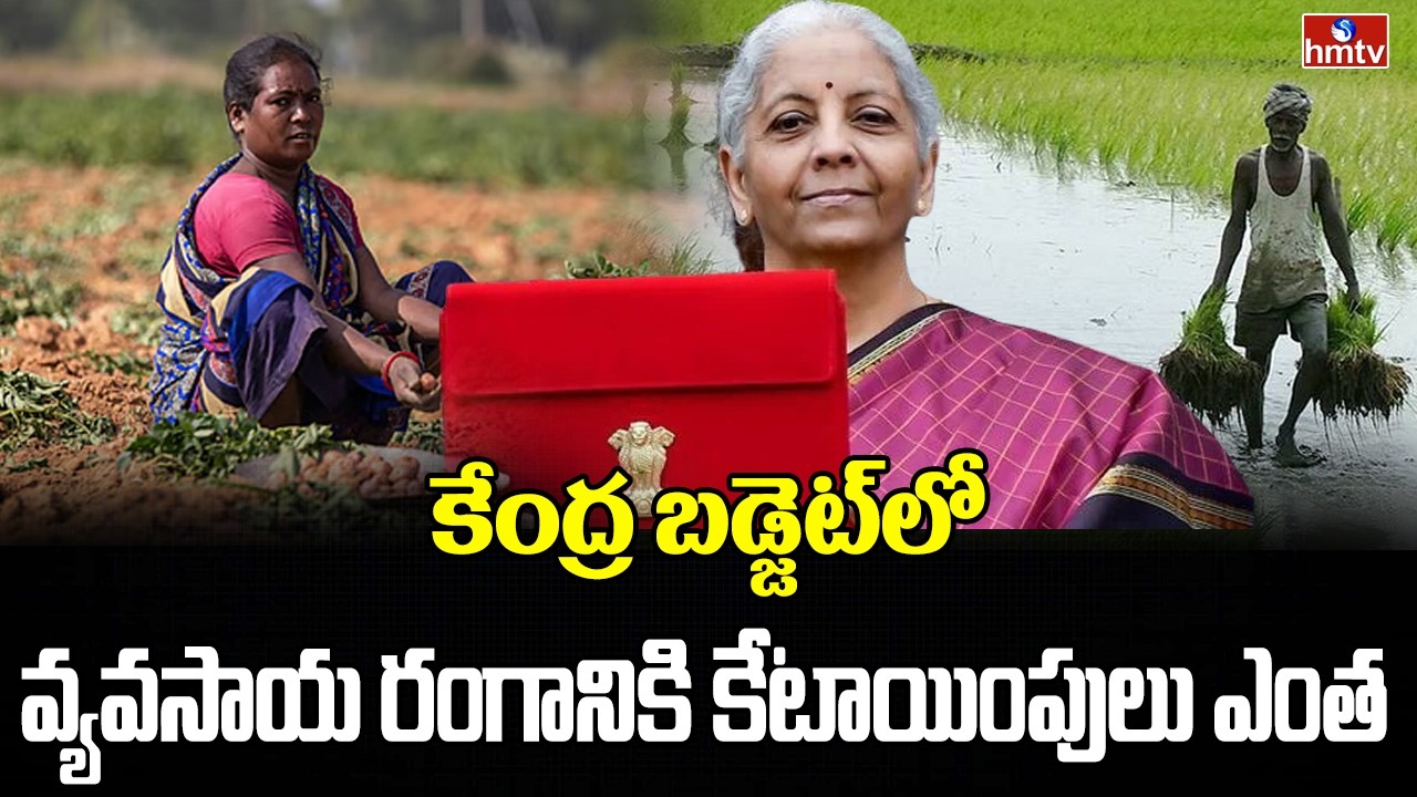Nelathalli | అగ్రి బడ్జెట్‌లో ఏముంది | Analysis about Budget Allocation for Agriculture | hmtv Agri