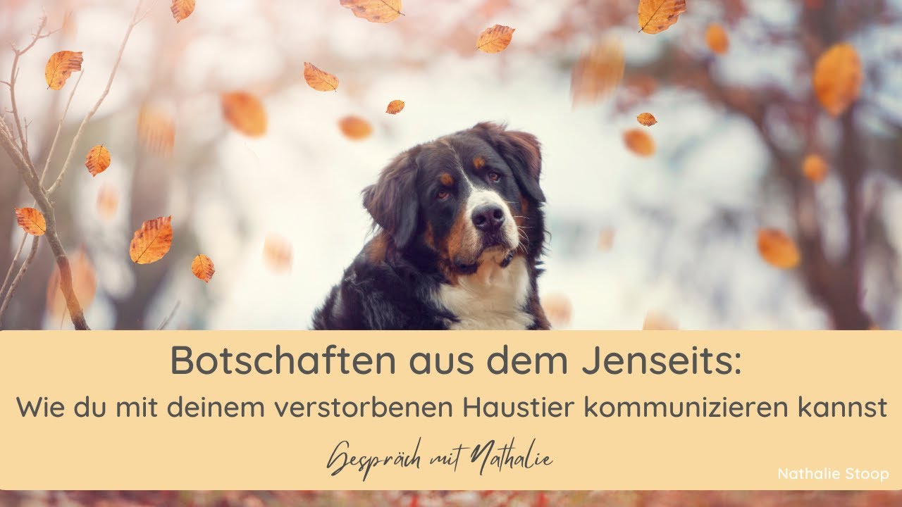 Kommunikation mit verstorbenen Haustieren I Gespräch mit Nathalie I 24 Minuten