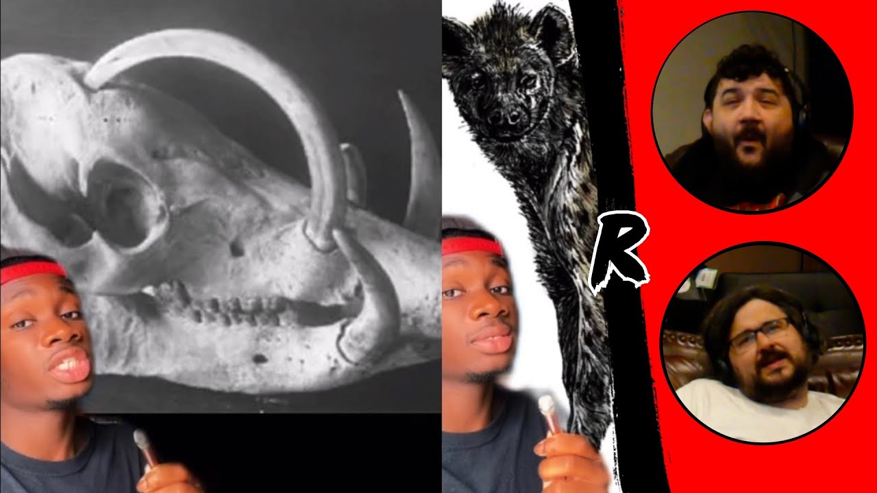 Animals that Got the Middle Finger from Evolution - @Casual Geographic | RENEGADES REACT