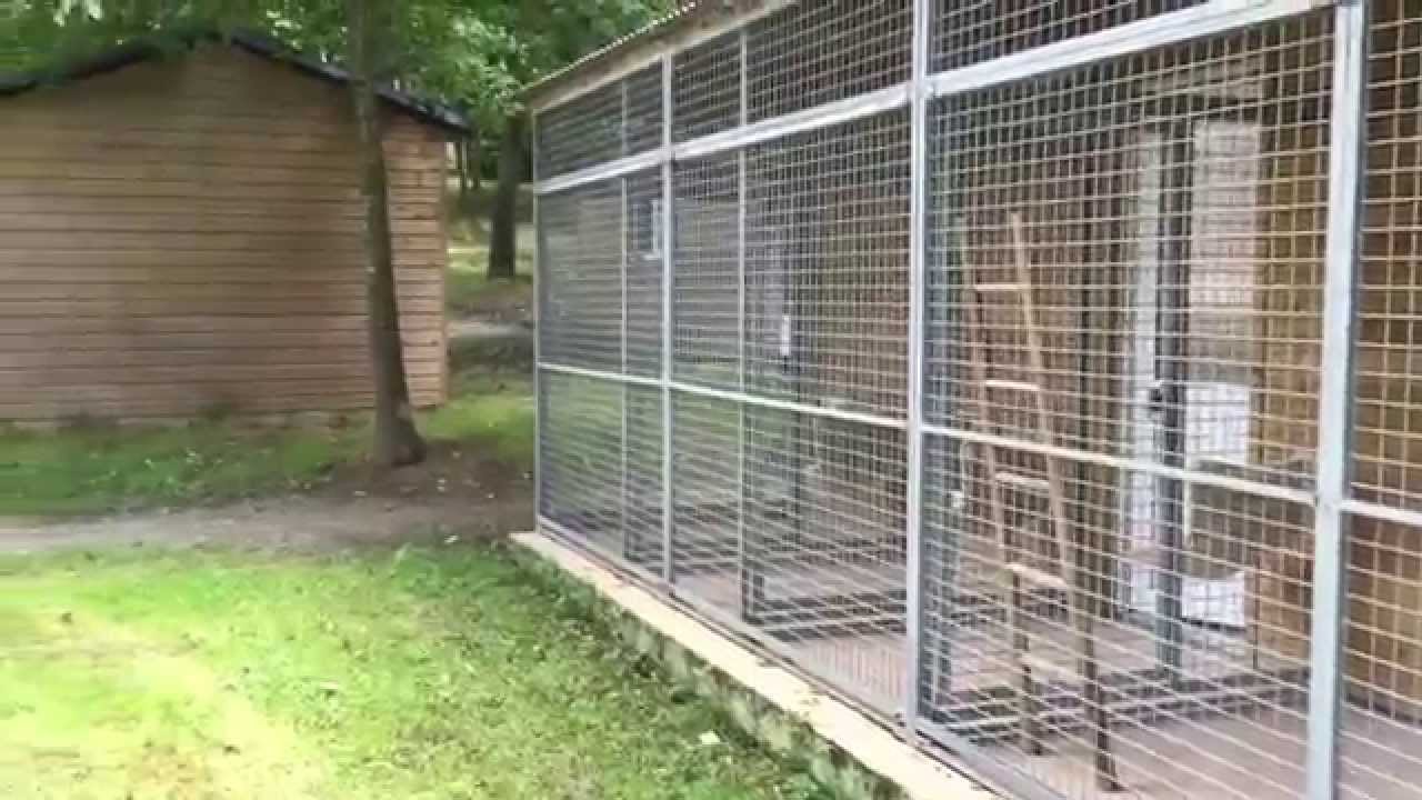 Présentation établissement passion chien