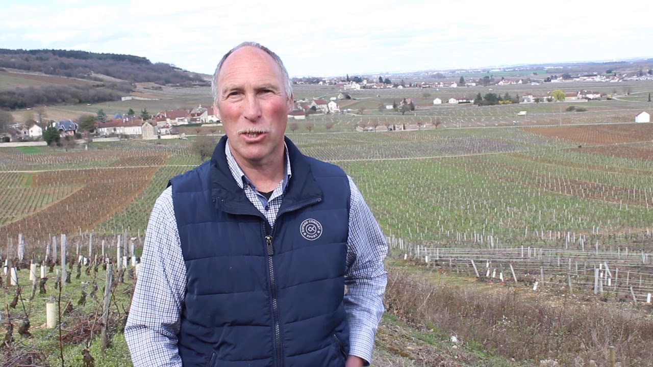 Domaine Michel Gros, Chambolle-Musigny