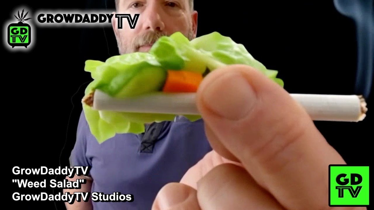 GDTV - Weed Salad - Sometimes GrowDaddy Likes To Roll One Up