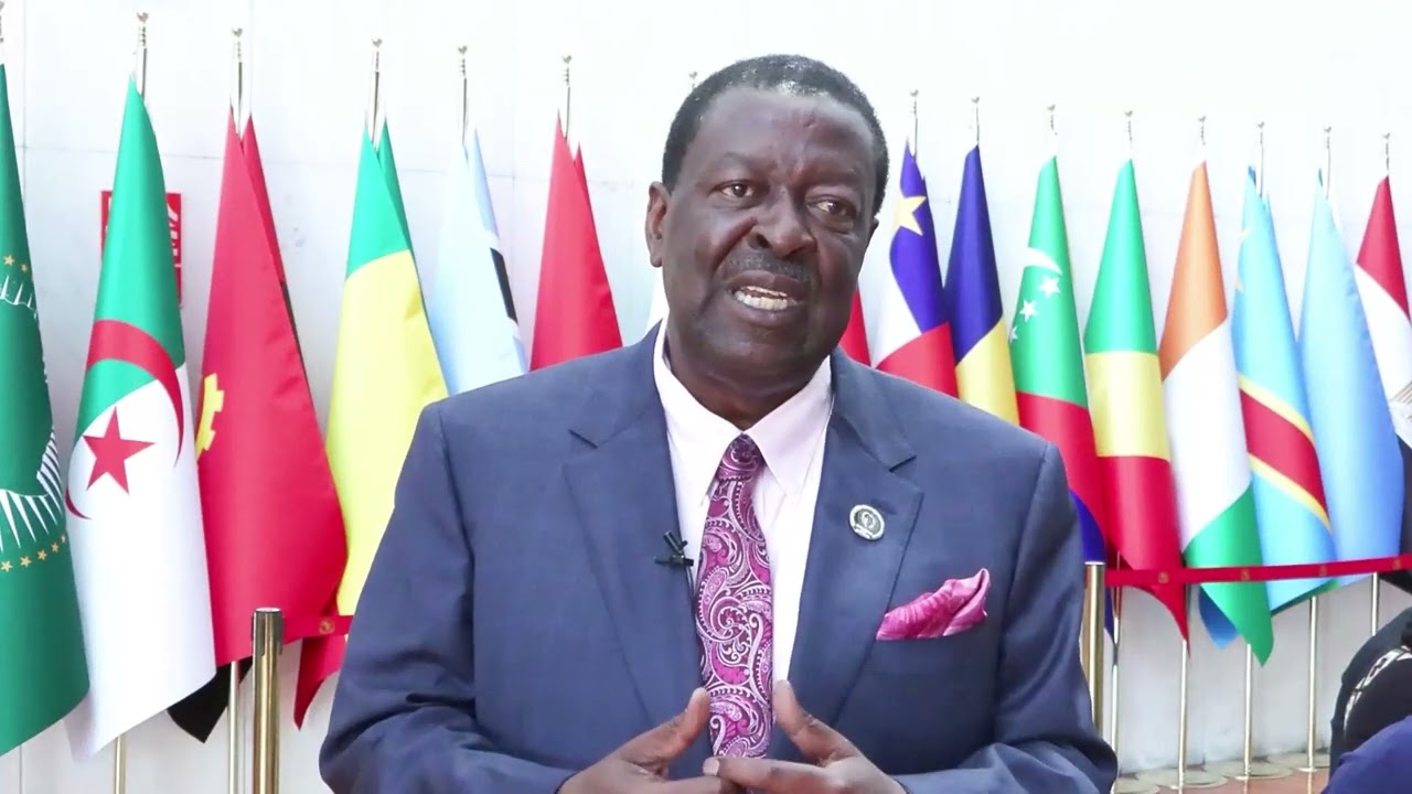 The 46th Ordinary Session of the Executive Council of The African union