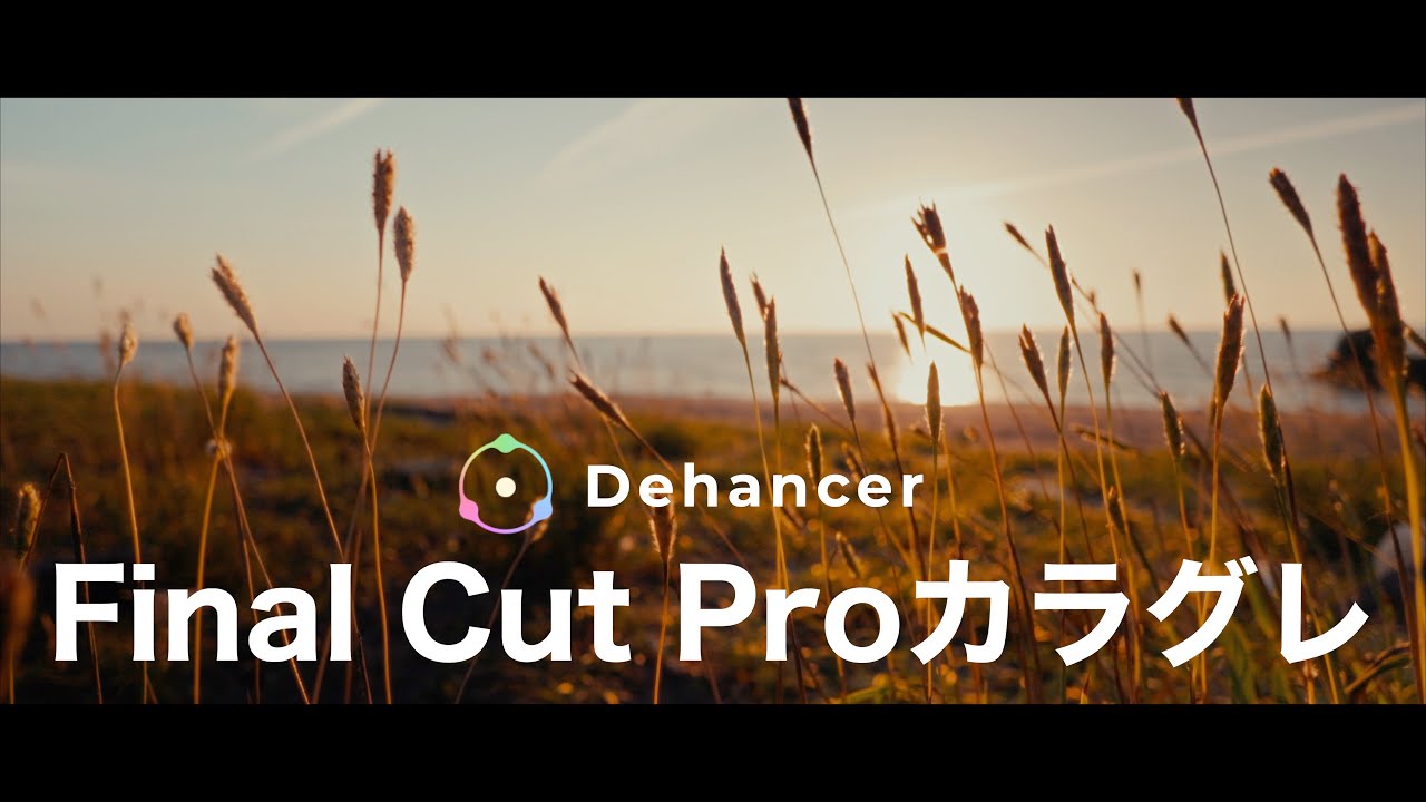 Final Cut Proで映画のようなカラグレをする方法！Dehancerプラグイン