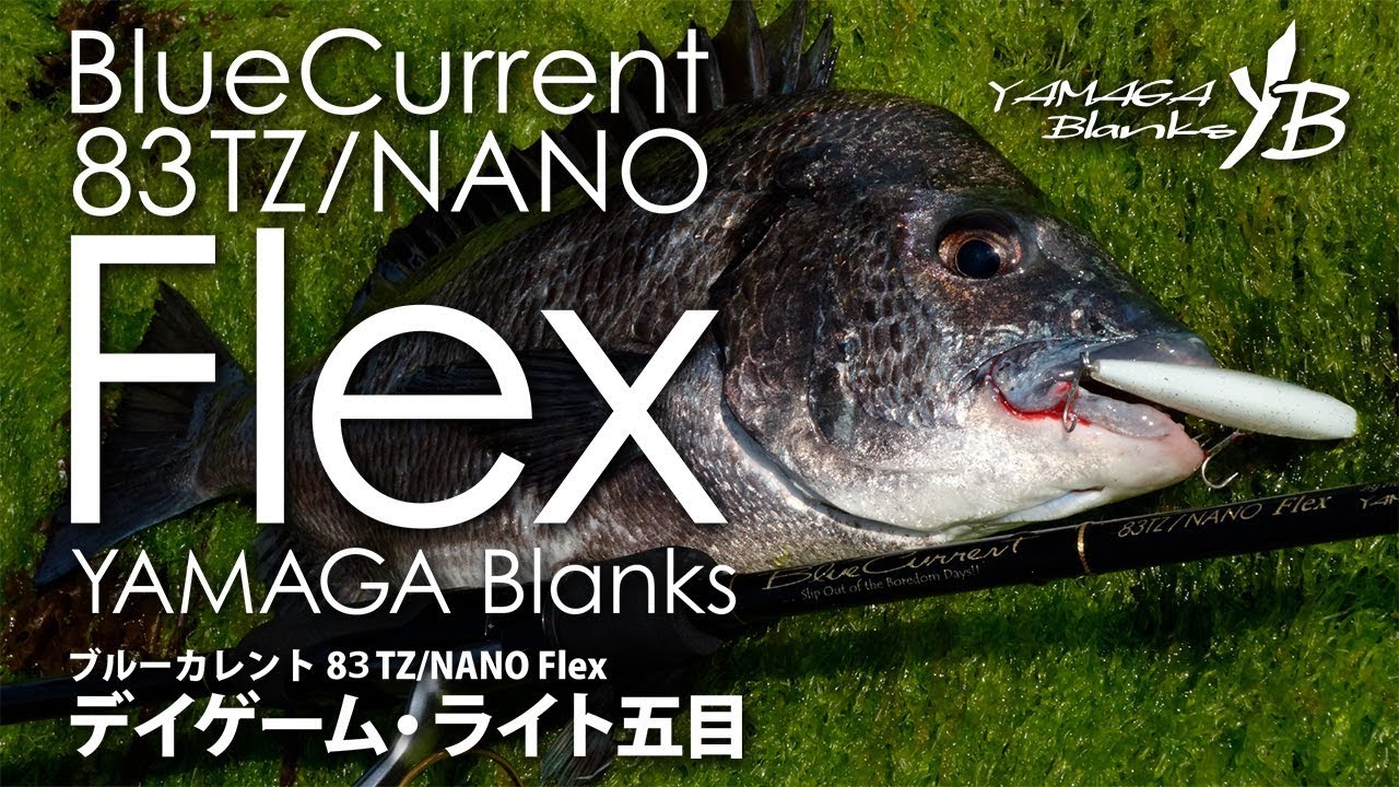 BlueCurrent 83TZ/NANO Flex ライト五目 実釣動画