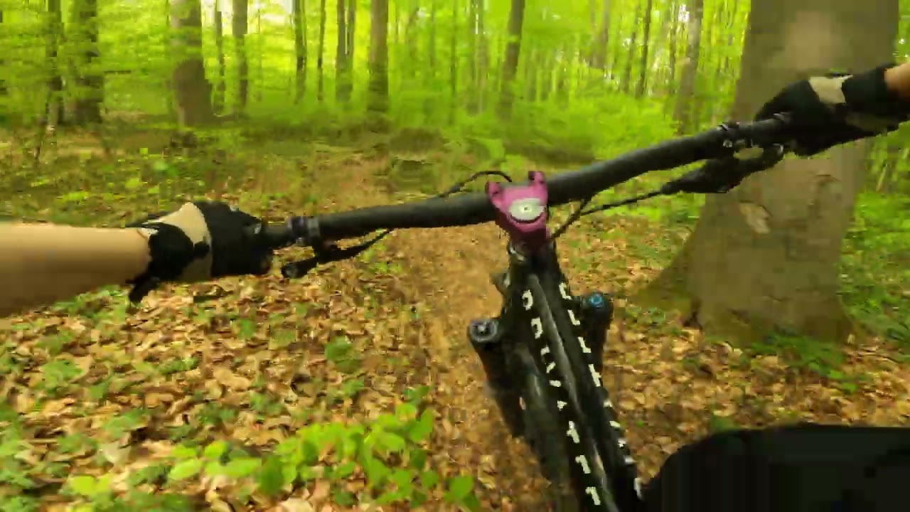 göttinger wald neuer Enduro Trail