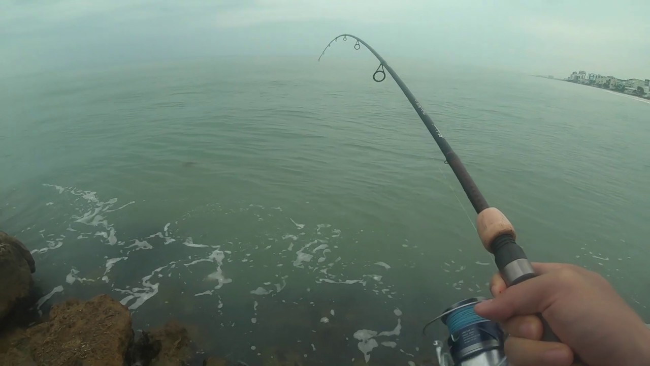 Fishing in Naples Florida 🎣