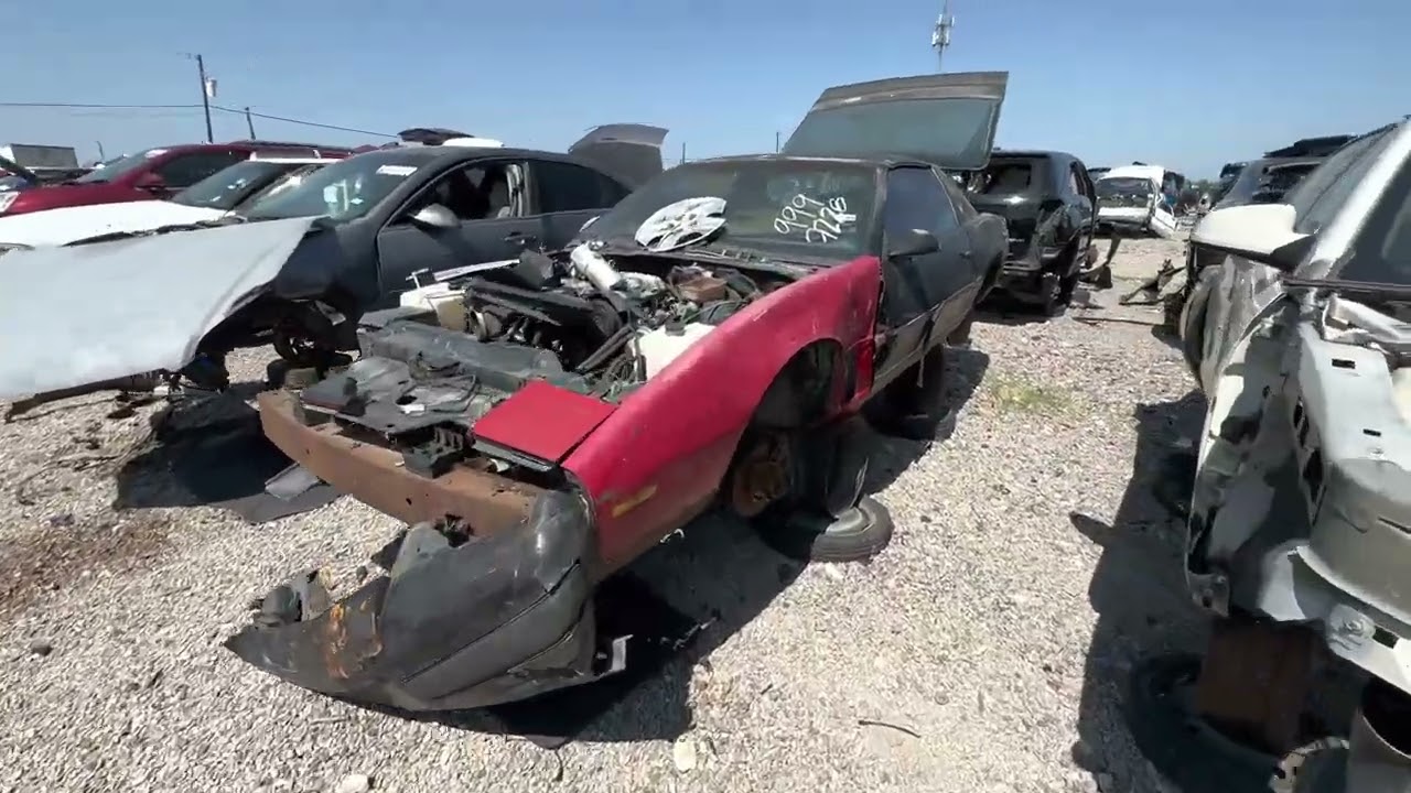 Junkyard Explorations Vlog/Tour! - There's Subaru's!