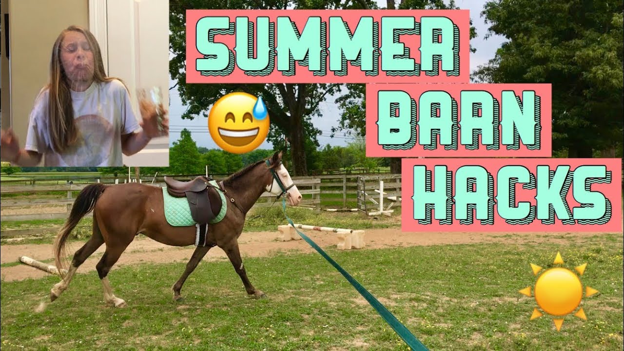 SUMMER BARN LIFE HACKS!