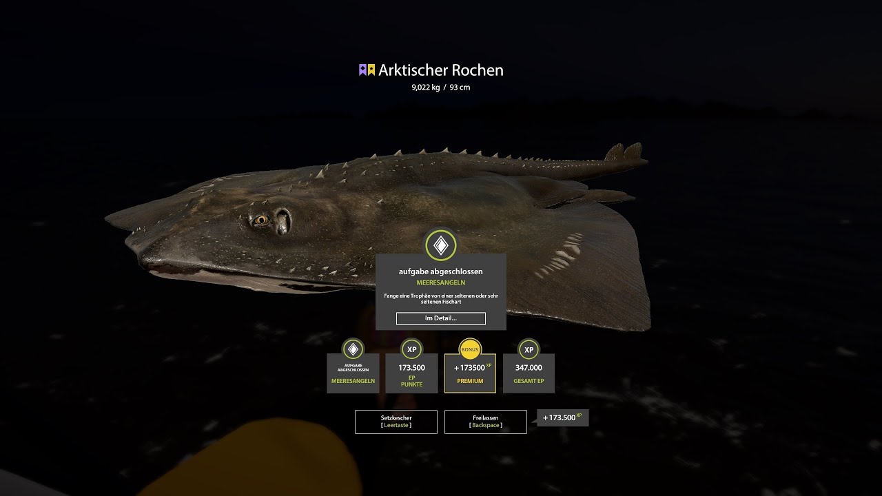 Trophy Arktischer Rochen Nordmeer (29.09.2023)