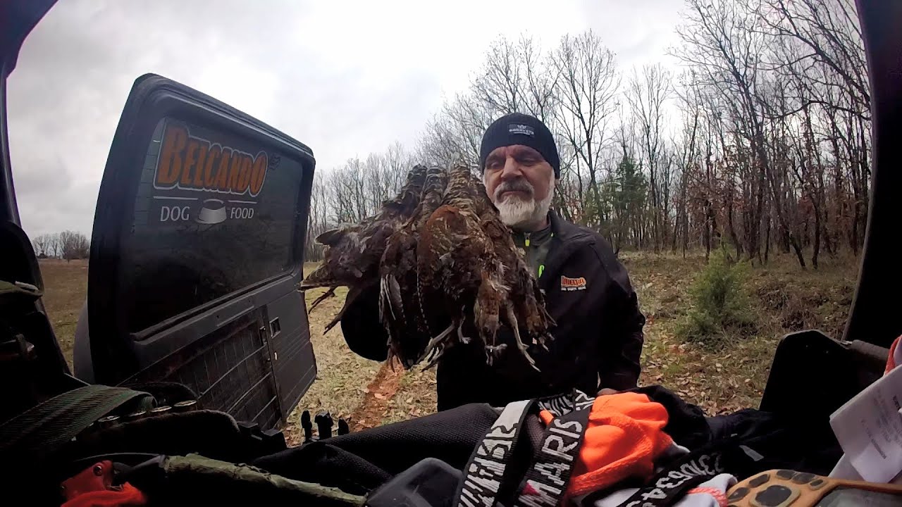 woodcock hunting Greece 10/2/2026μπεκατσες by teo orestiada