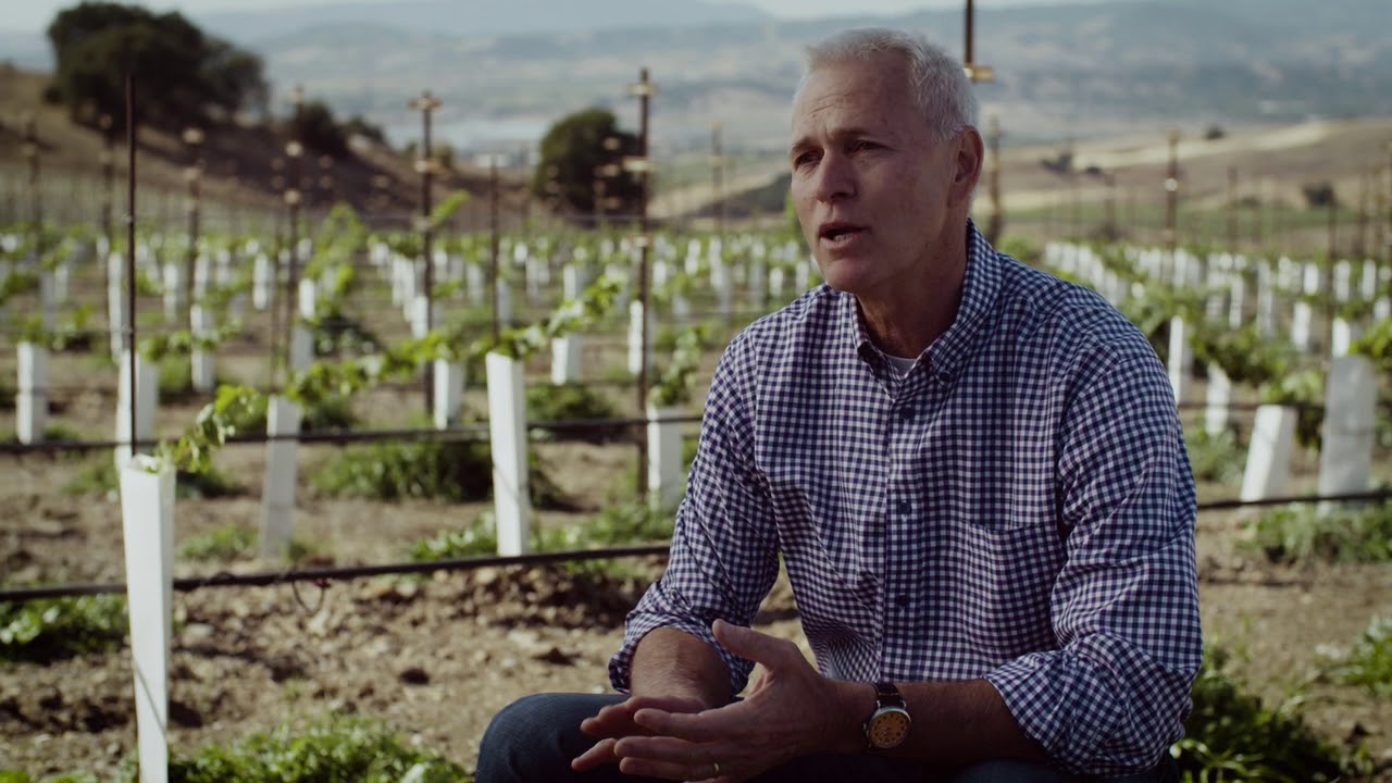 The Business of Wine Video Series - Couchman