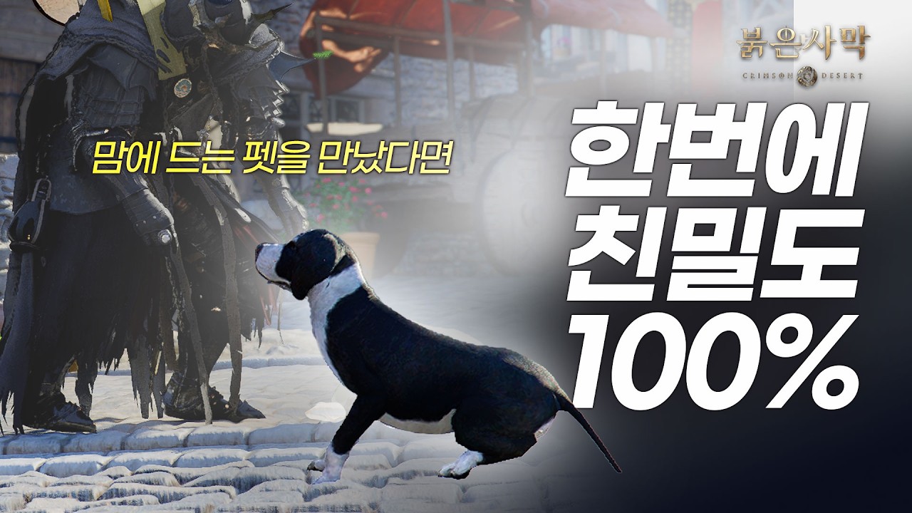 [ 붉은 사막 ] 맘에 드는 펫을 만났다면 ★ 한번에 친밀도 100% ★ 만드는 방법