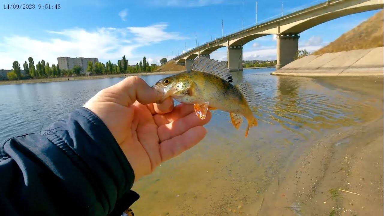 Оснастка Free-rig. (14.09.2023)