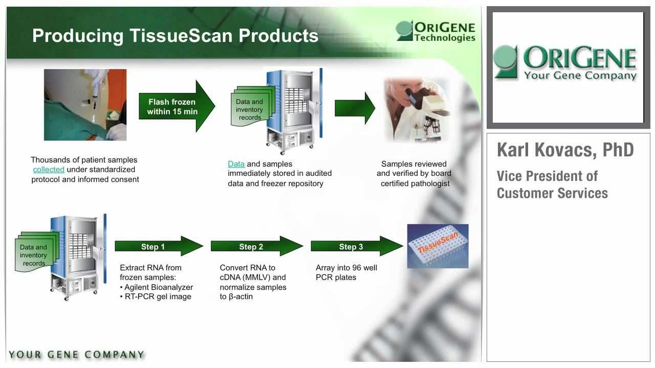 OriGene Webinar Series: TissueScan cDNA Arrays