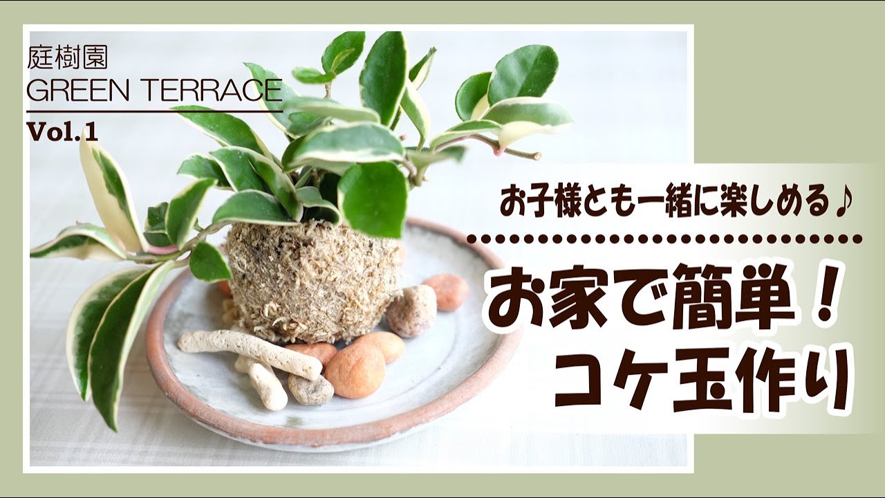 Vol.1コケ玉作り