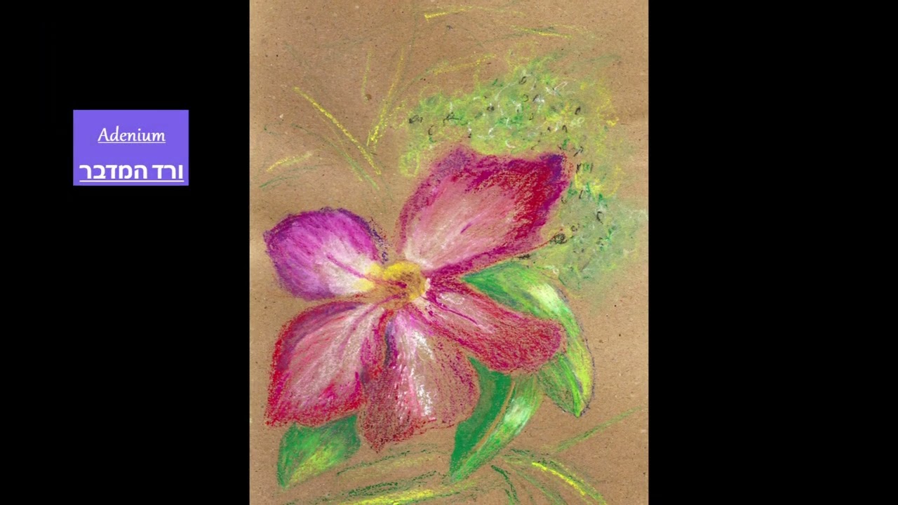 A Quiet Painted Diary
