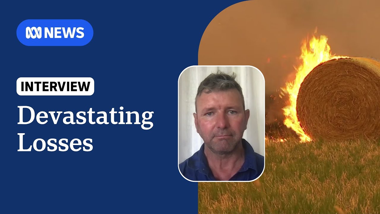 Bushfire disaster relief for farmers after loss of crucial fodder | ABC NEWS