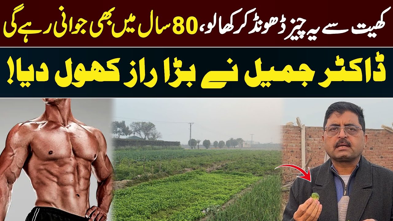 Eat This Secret Farm Ingredient to Stay Young at 80! | Dr. Jamil’s Health Secret