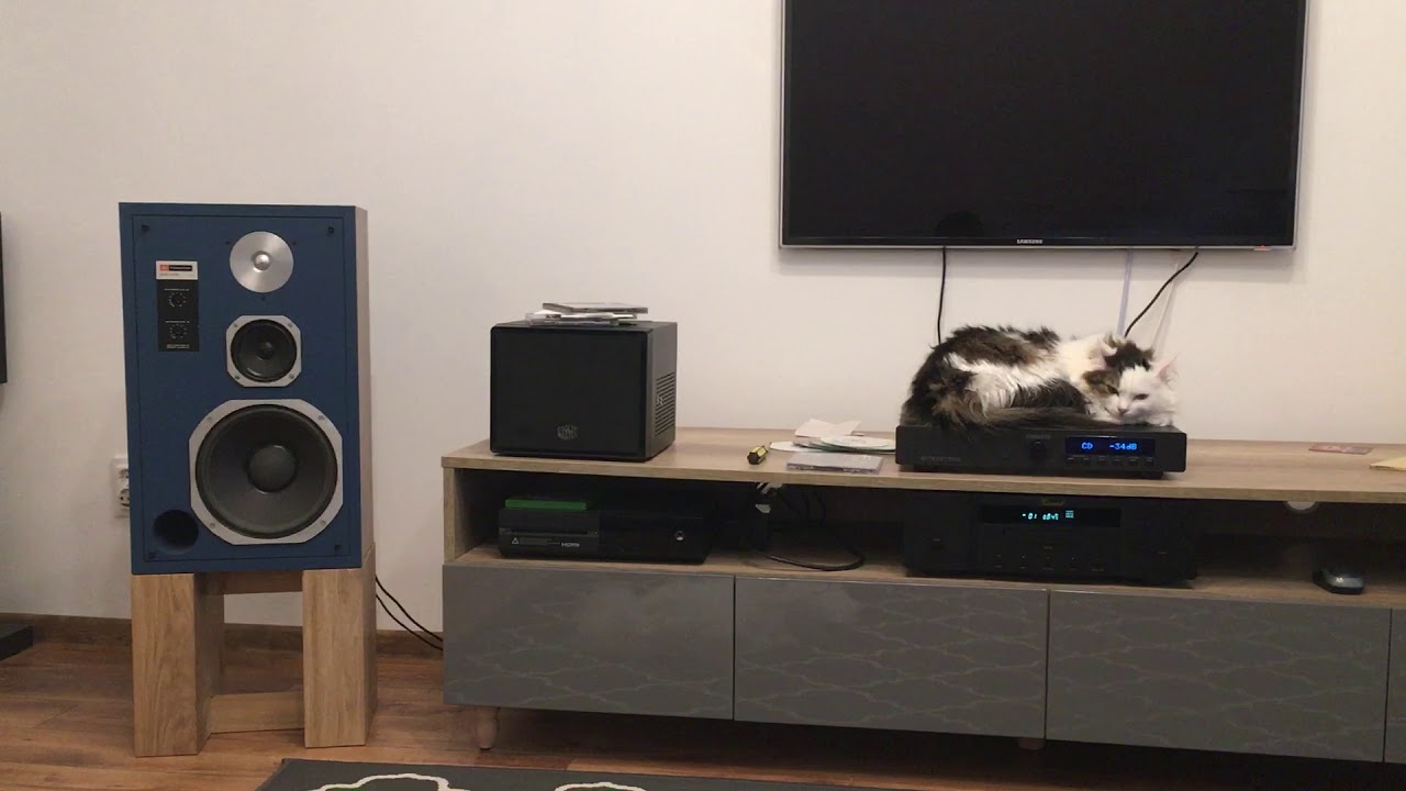 JBL 4313B Test