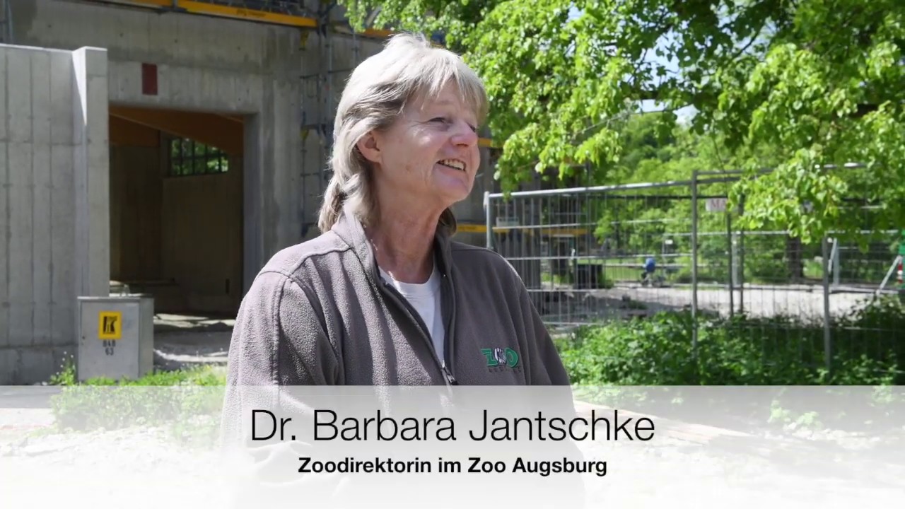swa Elefantenhaus Teil 1