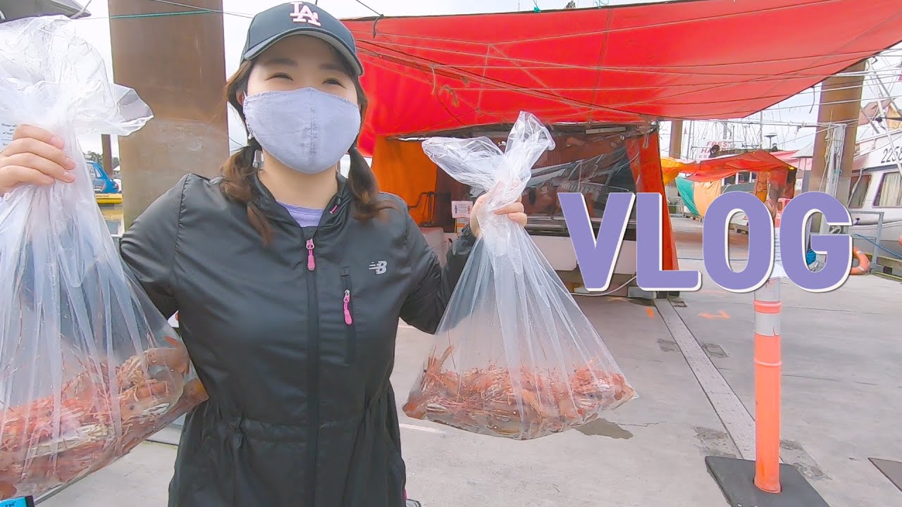 [캐나다 일상 VLOG] 6:30 am 돼지런한 주말 | 행복이 별거냐.. | 우리의 사랑 스팟 프라운 (Spot Prawn) | steveston