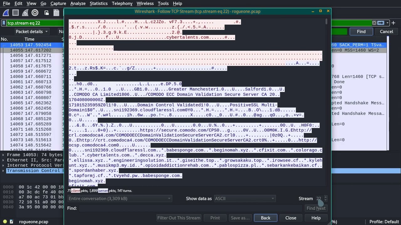 Rogueone Digital Forensics CyberTalents | #e5t3hb4r47
