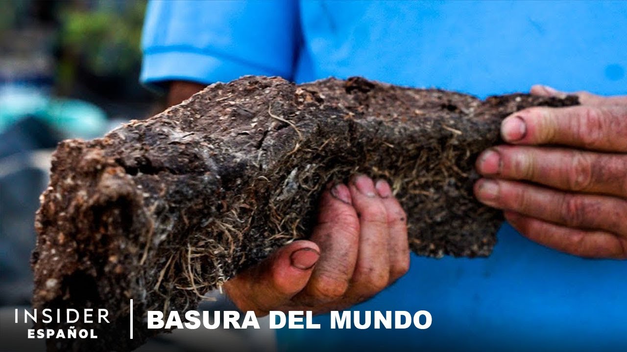 Cómo troncos de pulpa de fruta reemplazan la leña y el carbón | Basura del mundo