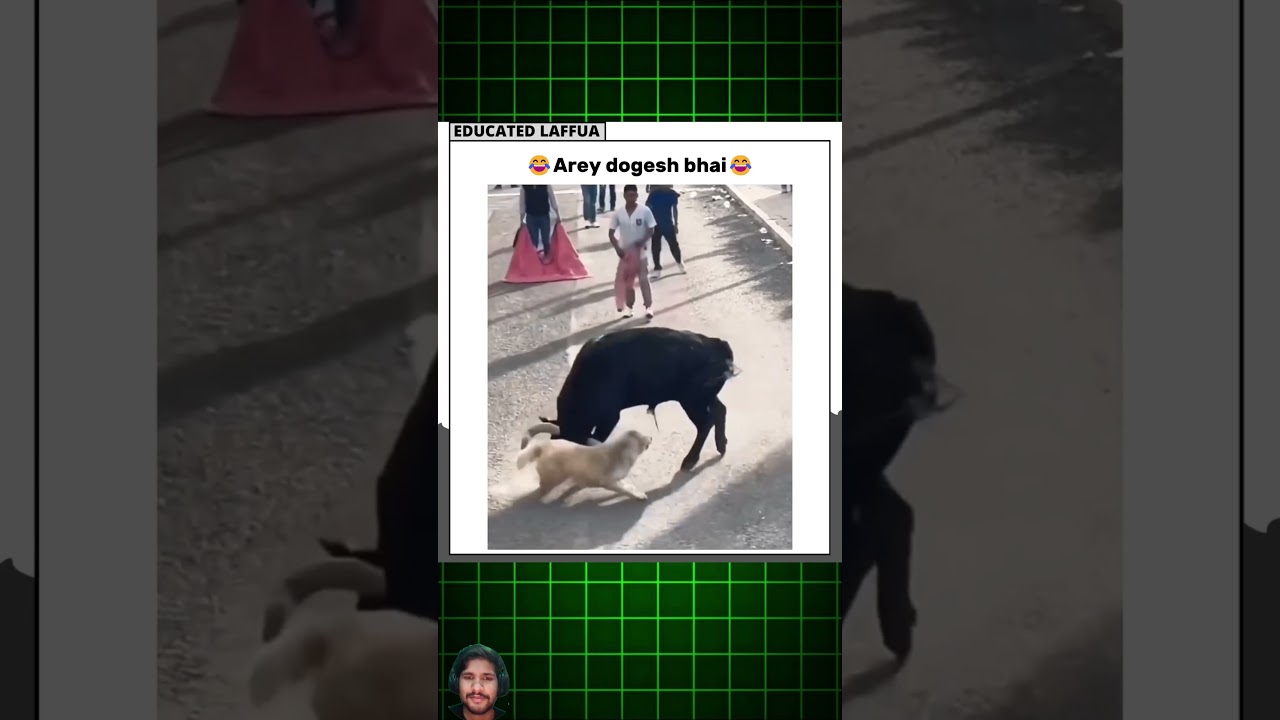 dogesh bhai #funny #comedy #memes #shorts #viralmemes #funnymemes #educatedlaffua