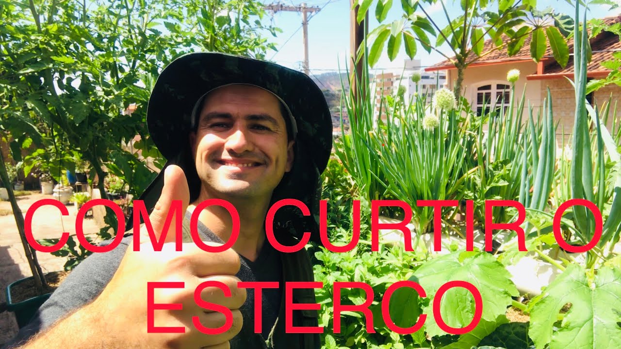 COMO ACELERAR A CURTIÇÃO DO ESTERCO