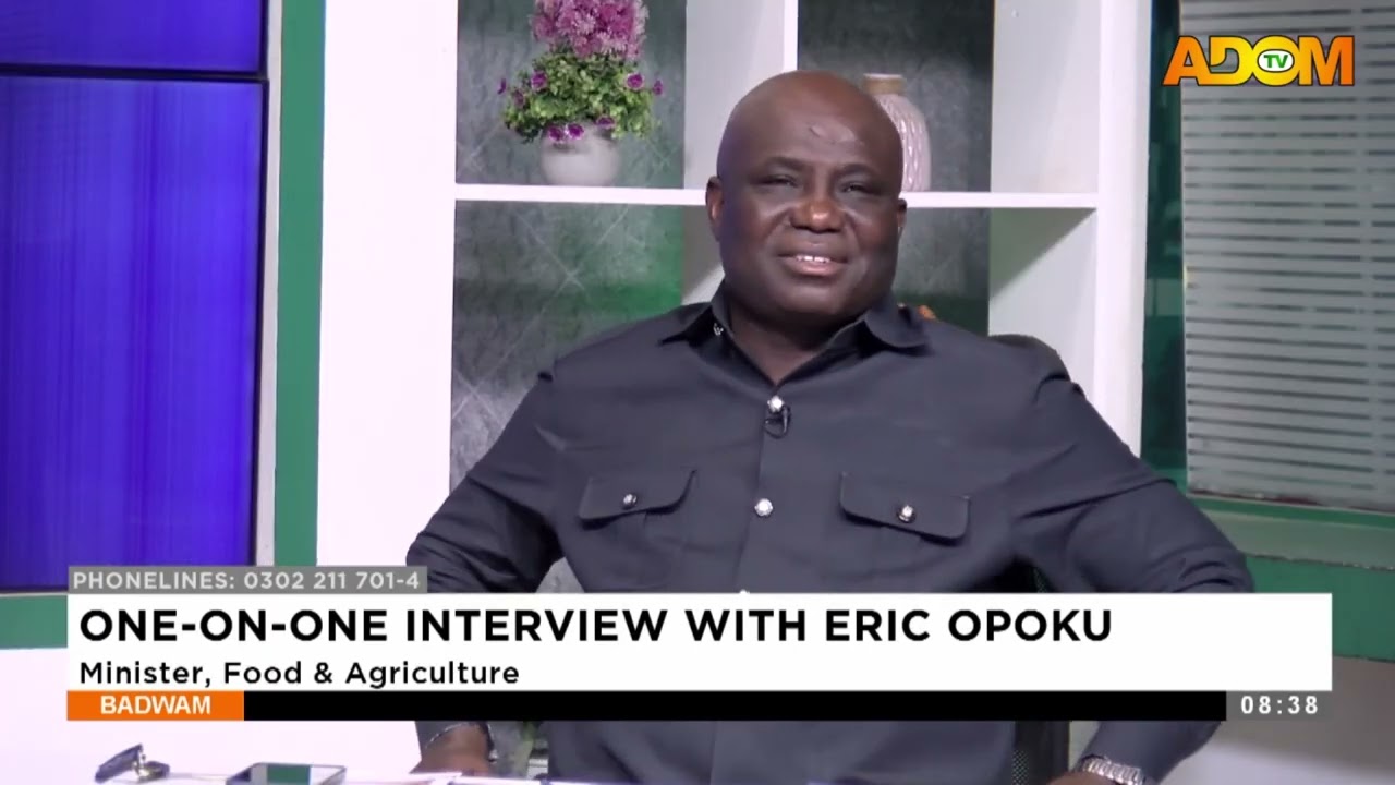 One-On-One Interview With Eric Opoku - Minister, Food and Agriculture  - Mpensenpensenmu (05-08-25)