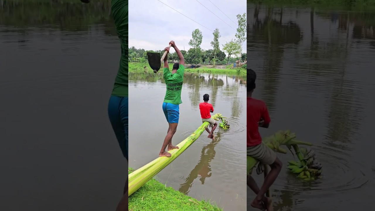 Placing a tree on the water