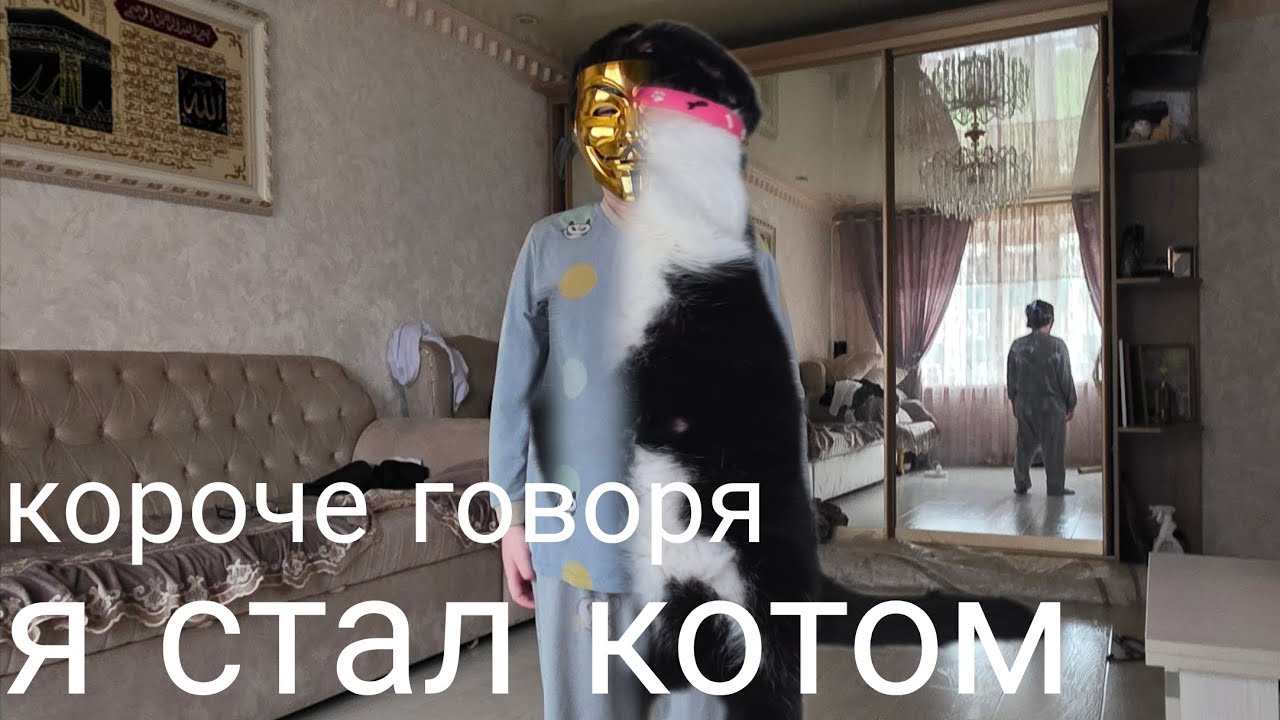 короче говоря я стал котом 