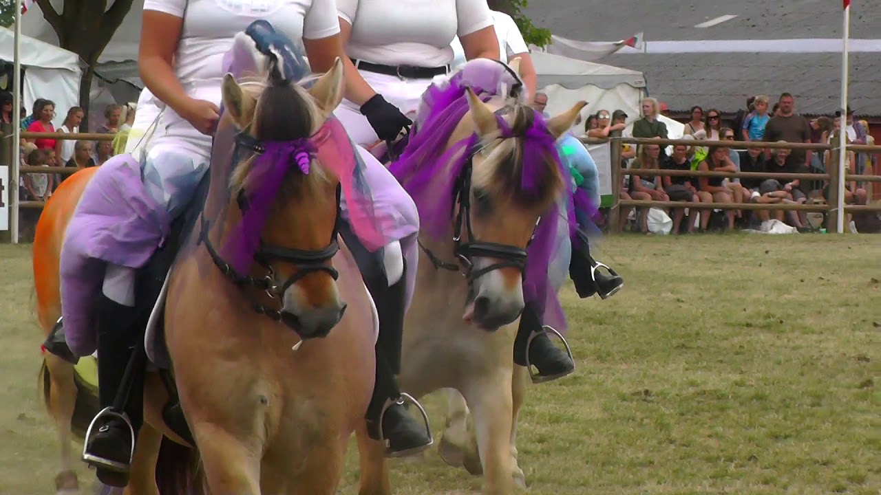 Hesteshow på Roskilde Dyrskue 2018
