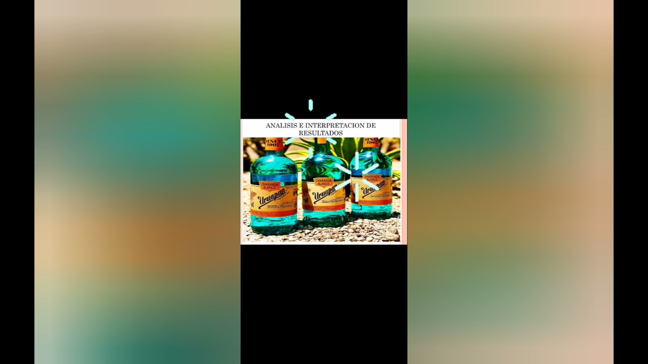 Investigaci&oacute;n de mercado Charanda