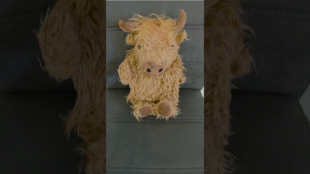 Kuschelige Highland Coo W&auml;rmflasche &ndash; Dein s&uuml;&szlig;es Kuh-Design f&uuml;r wohltuende W&auml;rme! 🐮💛✨